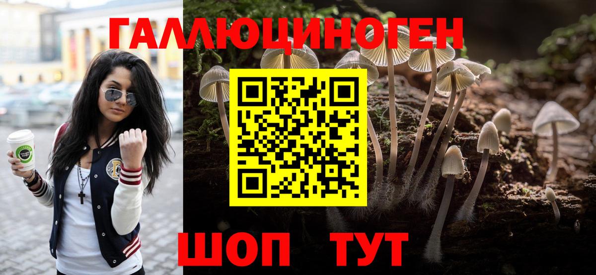 Псилоцибиновые грибы ЛСД Канаш