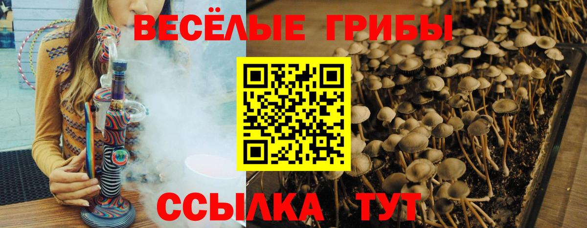 Псилоцибиновые грибы MAGIC MUSHROOMS  Галлюциногенные грибы MAGIC MUSHROOMS  Вход с VPN  Канаш 