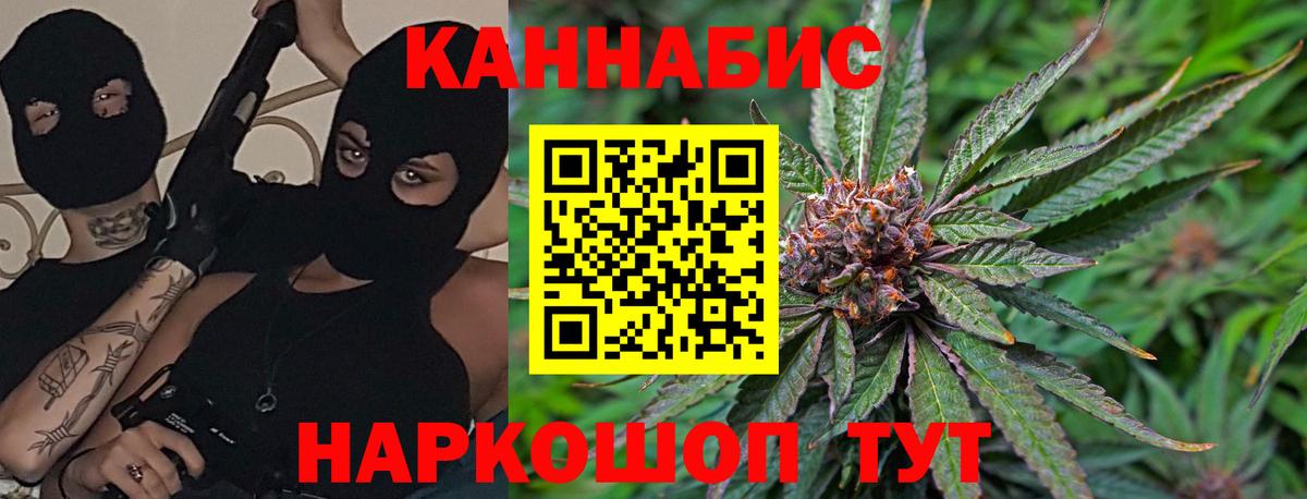 Каннабис планчик  Вход с VPN  Канабис ГИДРОПОН  Канаш 