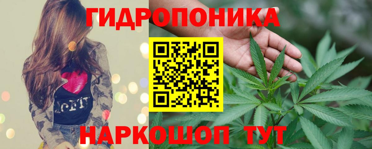 МАРИХУАНА сатива Канаш
